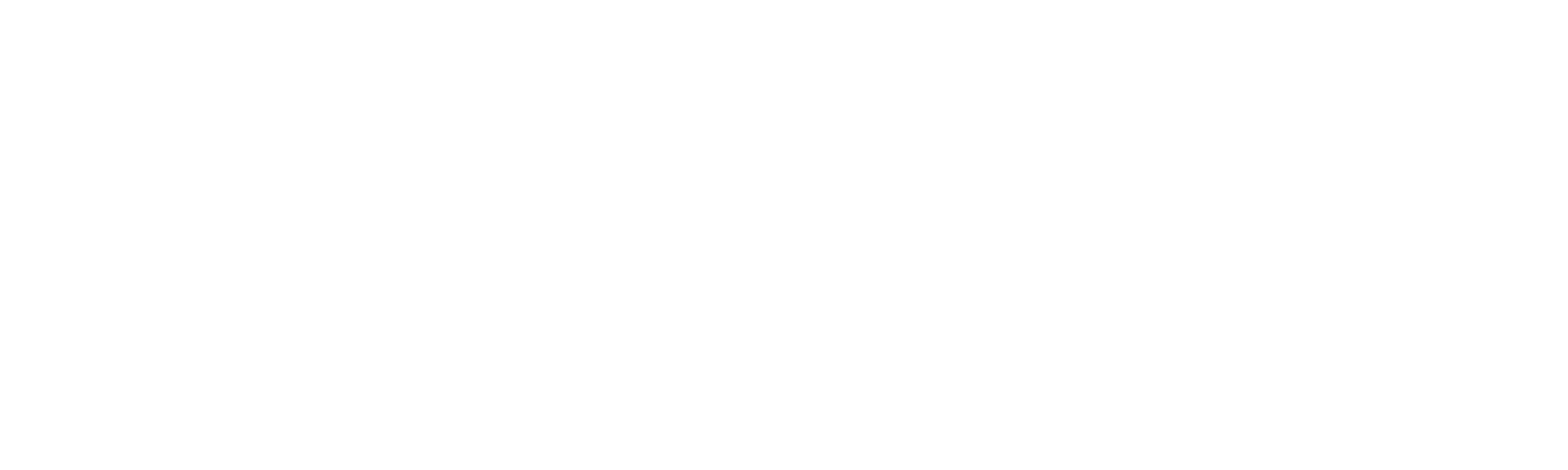 APSAE White PNG Logo
